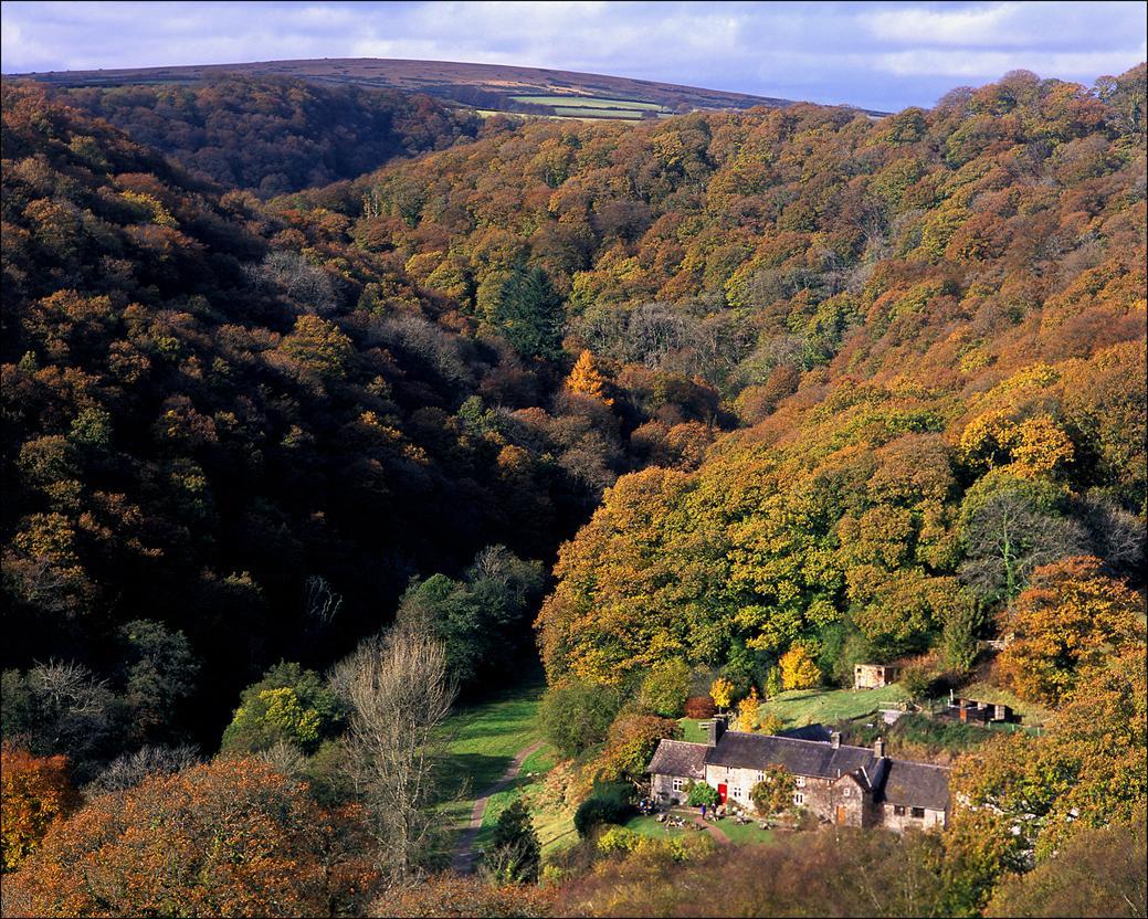 Tarr Farm Inn Liscombe エクステリア 写真